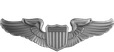 Pilot